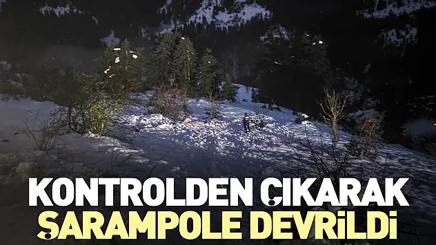 Kontrolden çıkarak şarampole devrildi