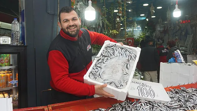 Kasalar dolusu hamsi satıldı
