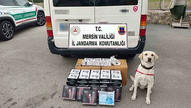 Narkotik köpeği uyuşturucu hapları buldu