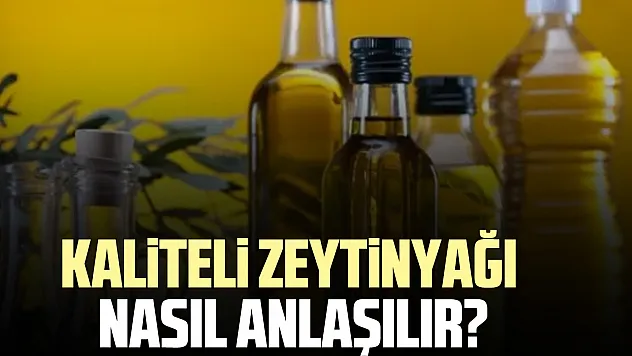 KALİTELİ ZEYTİNYAĞI NASIL ANLAŞILIR?