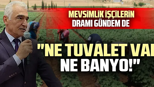Mevsimlik işçilerin Dramı gündem de  'Ne Tuvalet Var Ne Banyo!'