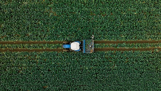 Çiftçilere 3,2 milyar lirayı aşan destek ödemesi