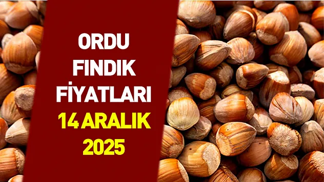 14 Aralık Ordu'da Fındık Fiyatları | İlçelerde Yeni Bant Oluştu, Üretici Satışa Kapalı