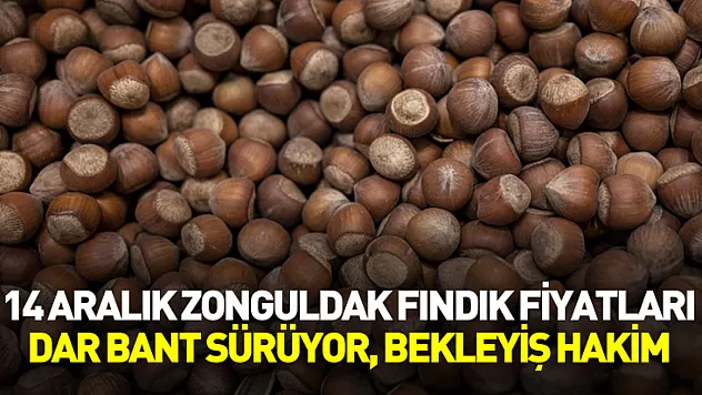 14 Aralık Zonguldak Fındık Fiyatları | Dar Bant Sürüyor, Bekleyiş Hakim