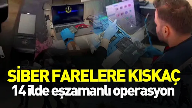 14 İlde Siber Dolandırıcılık Operasyonu: 90 Şüpheli Yakalandı