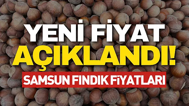 14 Mart 2026 Samsun fındık fiyatları | Terme ve Çarşamba'da son durum