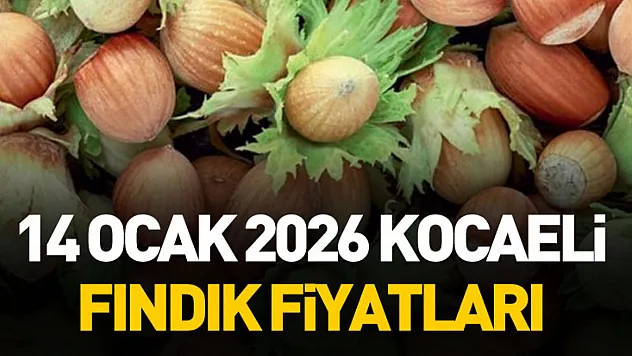 14 Ocak 2026 Kocaeli fındık fiyatları