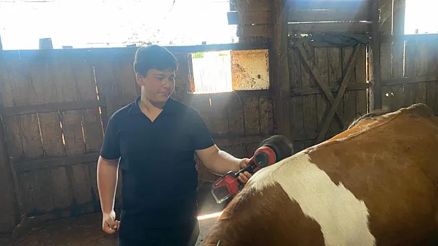14 Yaşındaki Bayram Berat'ın Büyük Hayali: Devlet Desteğiyle Kurulan Ahırdan Kendi Çiftliğine