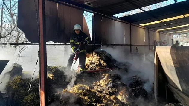 Yangında 100 saman balyası yandı