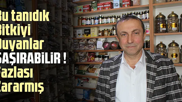 BU TANIDIK BİTKİYİ DUYANLAR ŞAŞIRABİLİR ! FAZLASI ZARARMIŞ