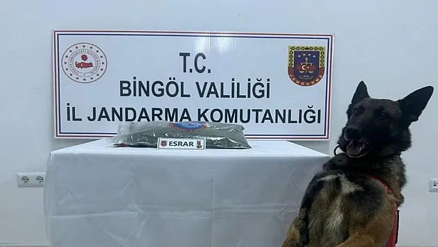 Bingöl'de uyuşturucu madde ele geçirildi