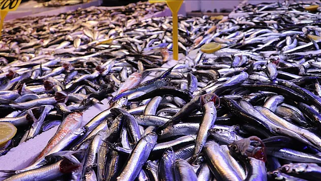 Ramazanda balığa talep arttı