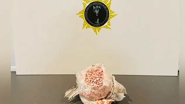 Samsun'da uyuşturucu operasyonu