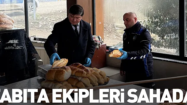 Zabıta Ekipleri Sahada