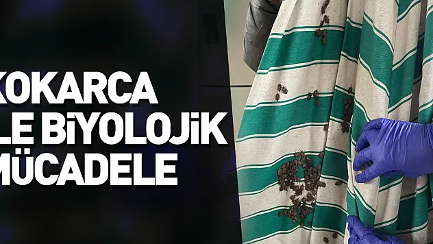 Kokarca ile biyolojik mücadele