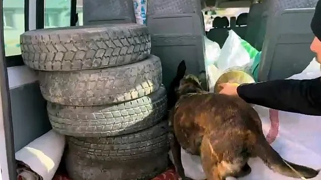 Uyuşturucuyla  yakalandı, 'Şeker sanıyordum' dedi