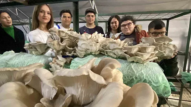 Tarım lisesi öğrencileri, özel eğitim öğrencileriyle mantar hasadı yaptı