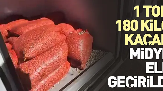 1 ton kaçak midye ele geçirildi