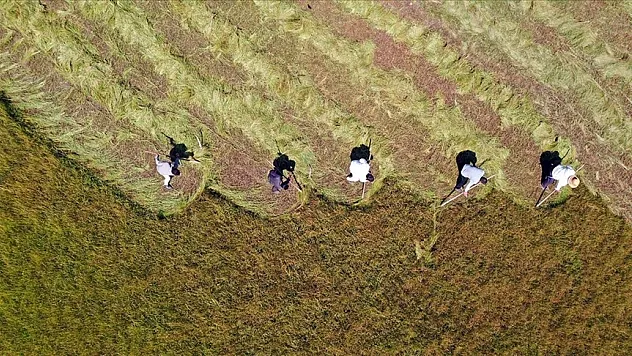 Çiftçilere 3,3 milyar lira destek ödemesi yapılacak