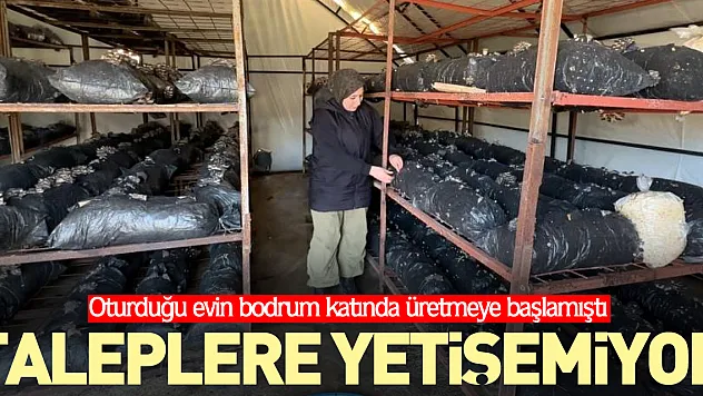 Oturduğu evin bodrum katında üretmeye başlamıştı
