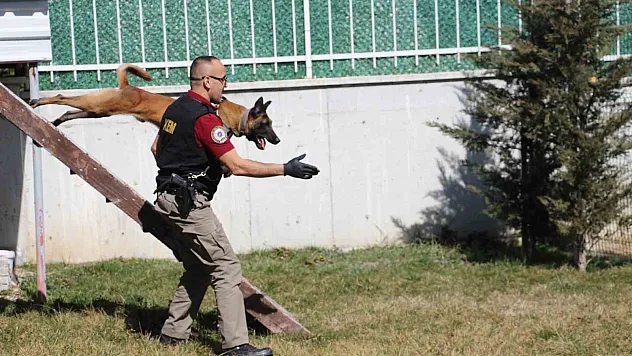 'Keskin burunlar' zehir tacirlerine geçit vermiyor