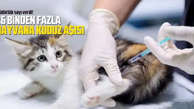 Samsun'da 26 binden fazla hayvana kuduz aşısı yapıldı