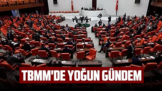 TBMM'de yoğun gündem