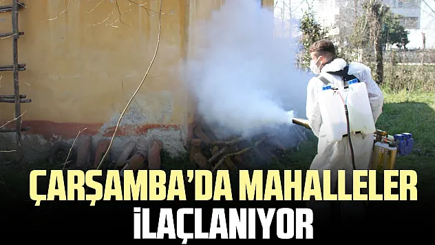 Çarşamba'da mahalleler ilaçlanıyor