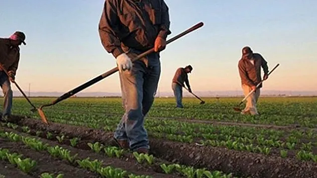 Yüzde 75,6'sı işçi bulamıyor