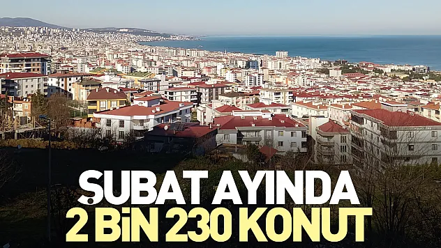 Şubat ayında 2 bin 230 konut