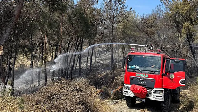 Mersin'de orman yangını