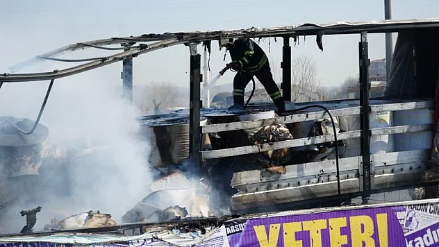 Lastiği patlayan tır alevlere teslim oldu