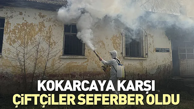 Kokarcaya karşı çiftçiler seferber oldu