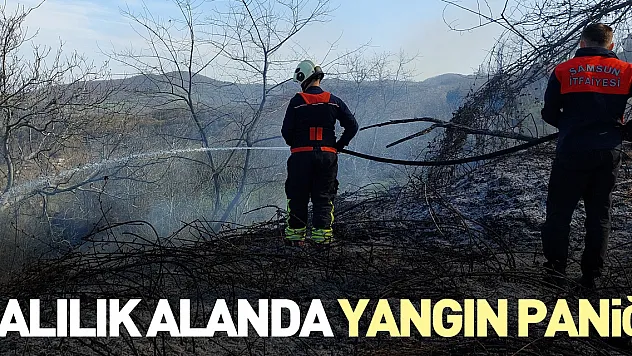 Çalılık alanda yangın paniği