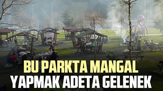 BU PARKTA MANGAL YAPMAK ADETA GELENEK