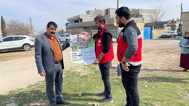 Budama artıklarını imha etmeyenlere ceza