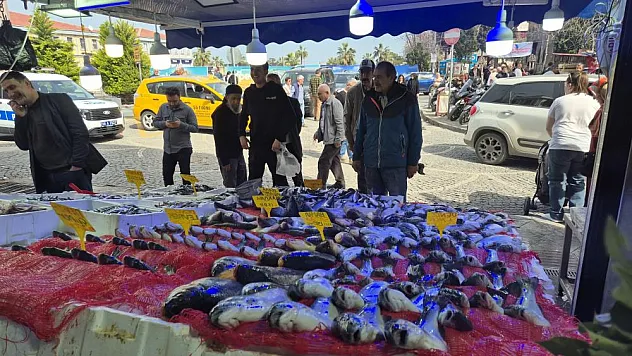 Ramazan'da balık tezgahlarında sakinlik