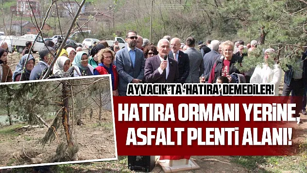 Ayvacık'ta 'hatıra' demediler!