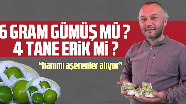 6 GRAM GÜMÜŞ MÜ ? 4 TANE ERİK Mİ ?