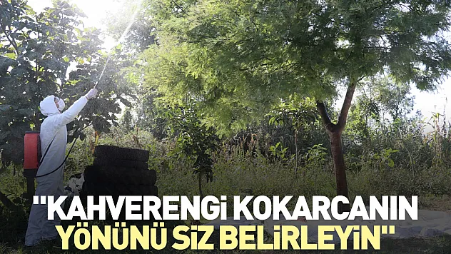 'Kahverengi kokarcanın yönünü siz belirleyin'