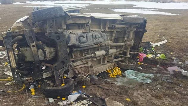 Minibüs şarampole devrildi