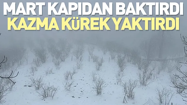 Mart Kapıdan Baktırdı, Kazma Kürek Yaktırdı