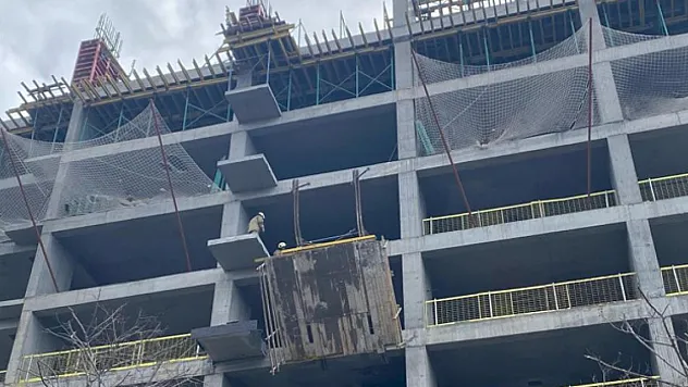 İnşaat iskelesi çöktü