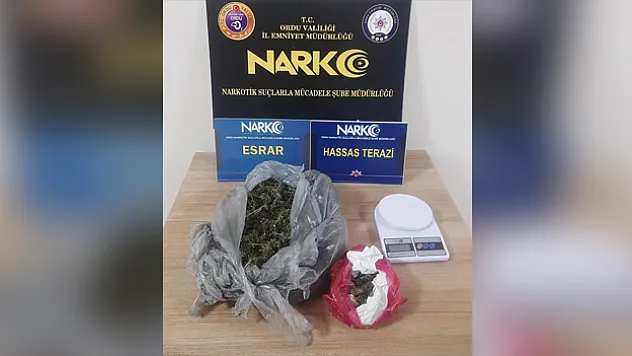 Ordu'da uyuşturucu operasyonları