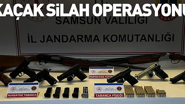 Samsun'da kaçak silah operasyonu