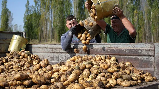 Tarımsal girdi fiyat endeksi yıllık yüzde 30,49 arttı