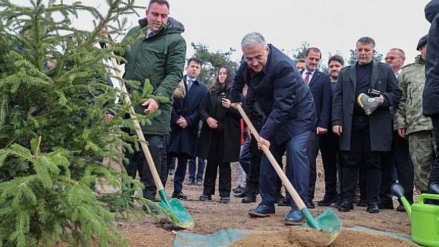 10 bin adet fidan toprakla buluştu