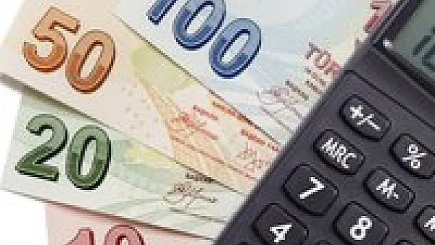 Türk Lirası'nın simge tanıtımı ertelendi