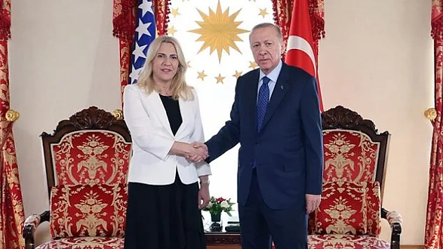 Erdoğan Sviyanoviç ile görüştü