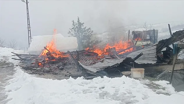 Ordu'da evde çıkan yangın kar ile söndürüldü